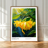 Ilang-Ilang (Queen of Perfumes)