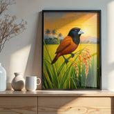 Maya (Chestnut/Black-Headed Munia)