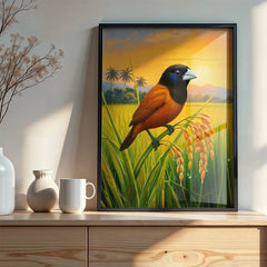 Maya (Chestnut/Black-Headed Munia)