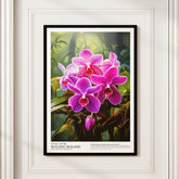 Waling-Waling (Queen of Philippines Orchids)