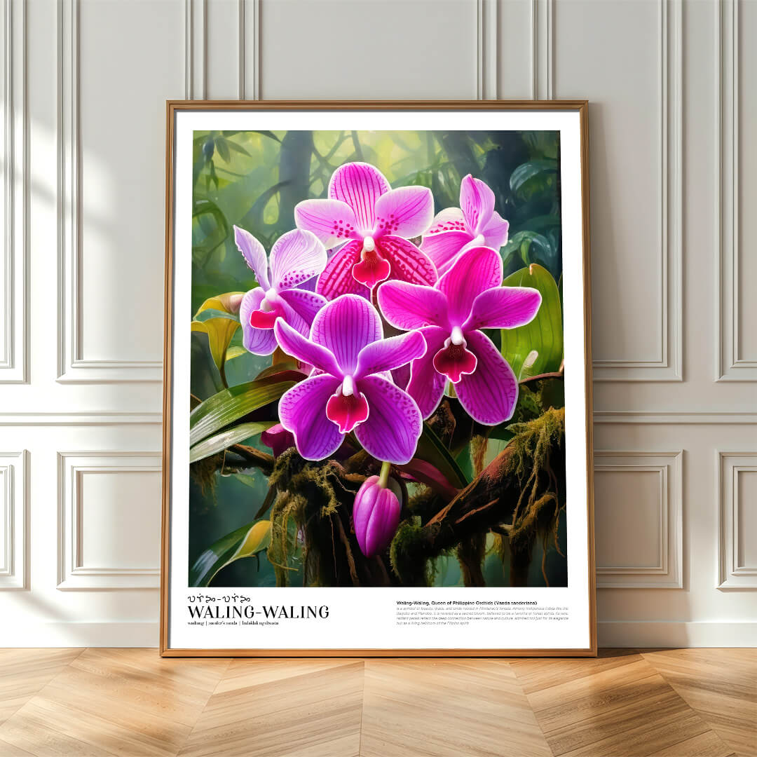 Waling-Waling (Queen of Philippines Orchids)
