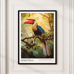 Philippine Hornbill (Kalaw)