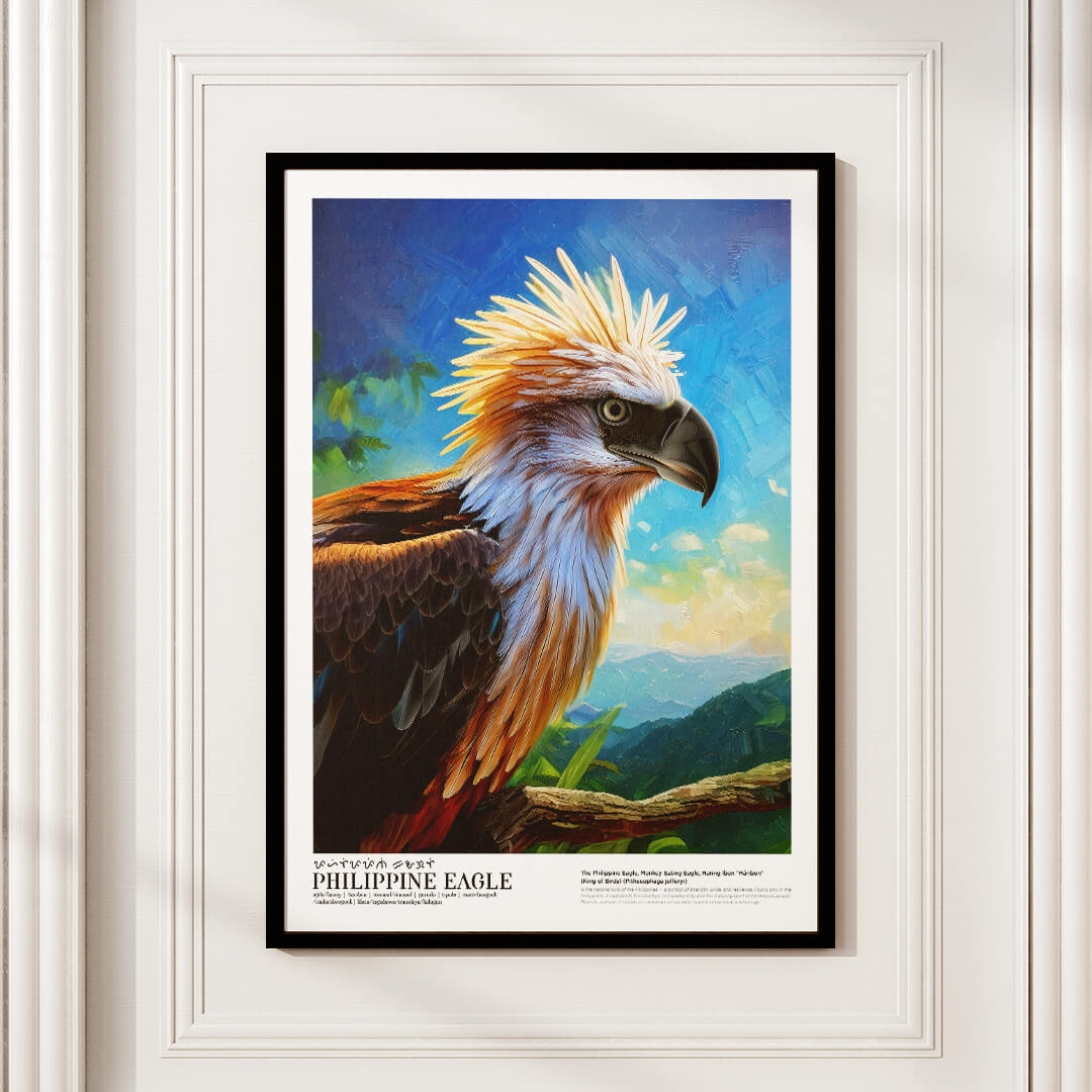 Philippine Eagle (Háribon)