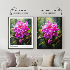 Waling-Waling (Queen of Philippines Orchids)