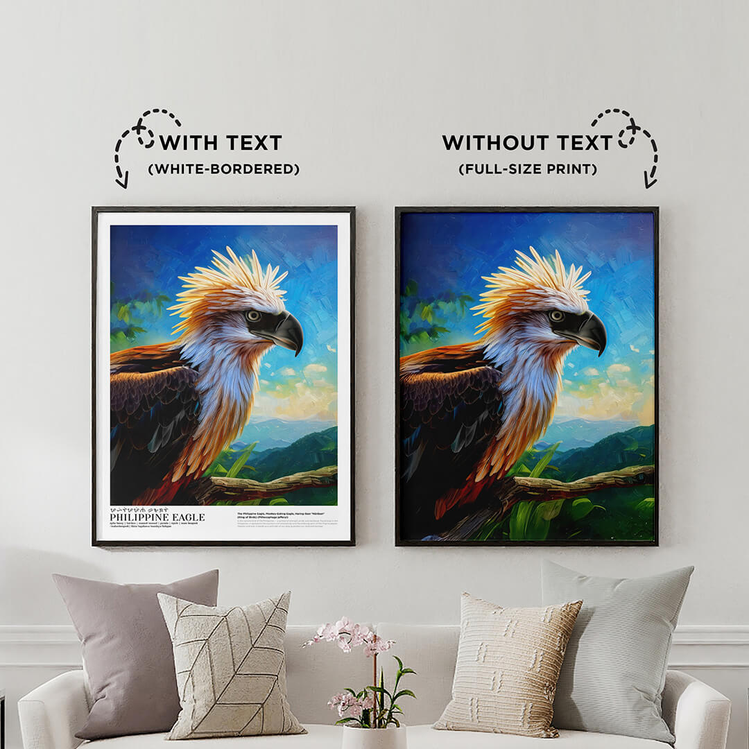 Philippine Eagle (Háribon)