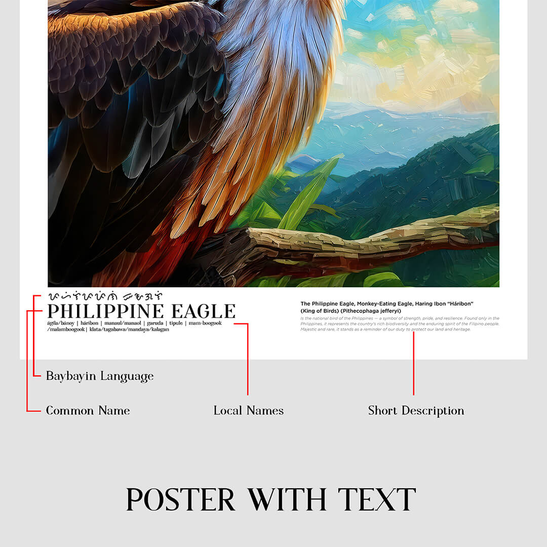 Philippine Eagle (Háribon)